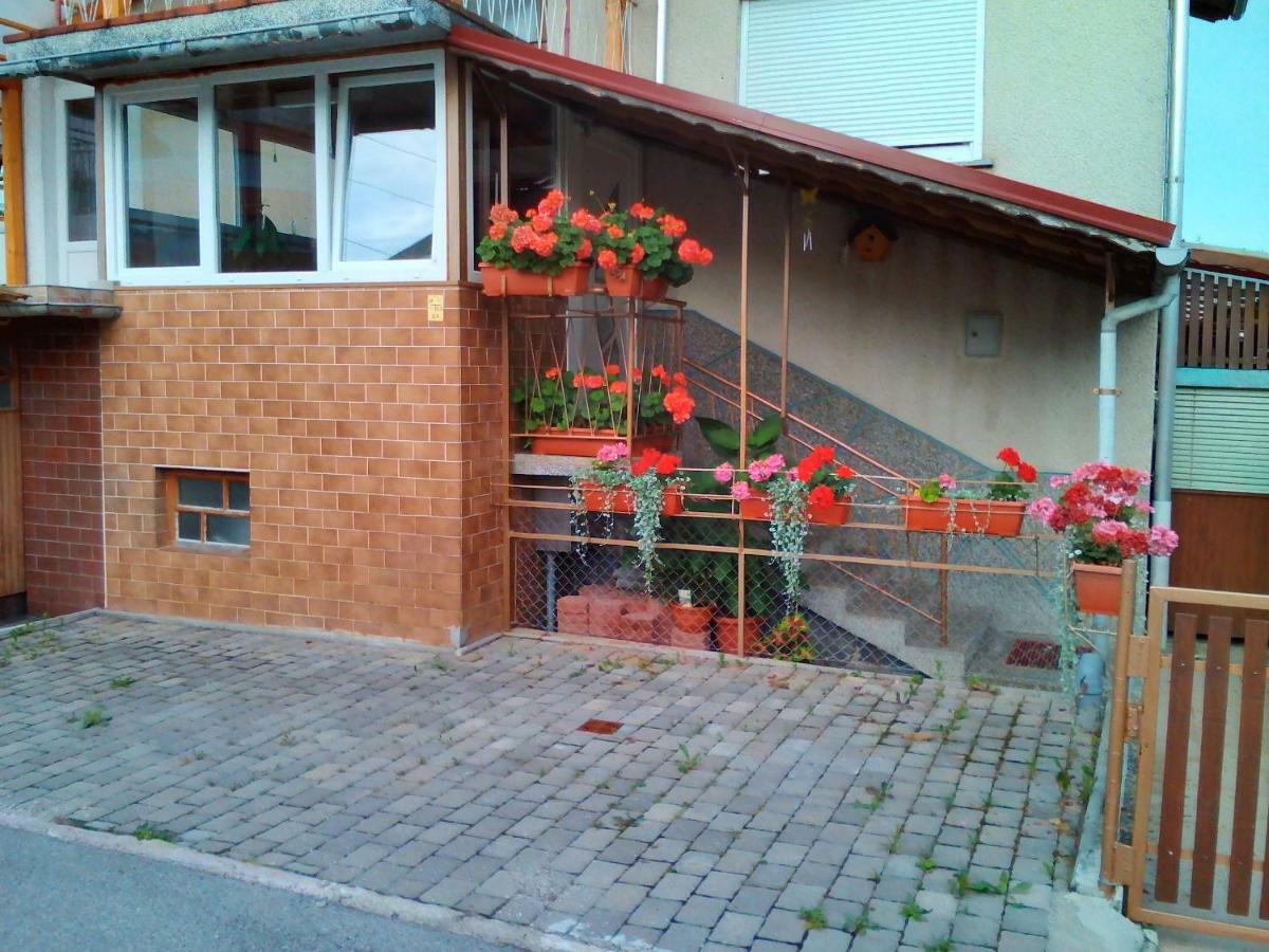 Apartment Janja Vojnik Kültér fotó