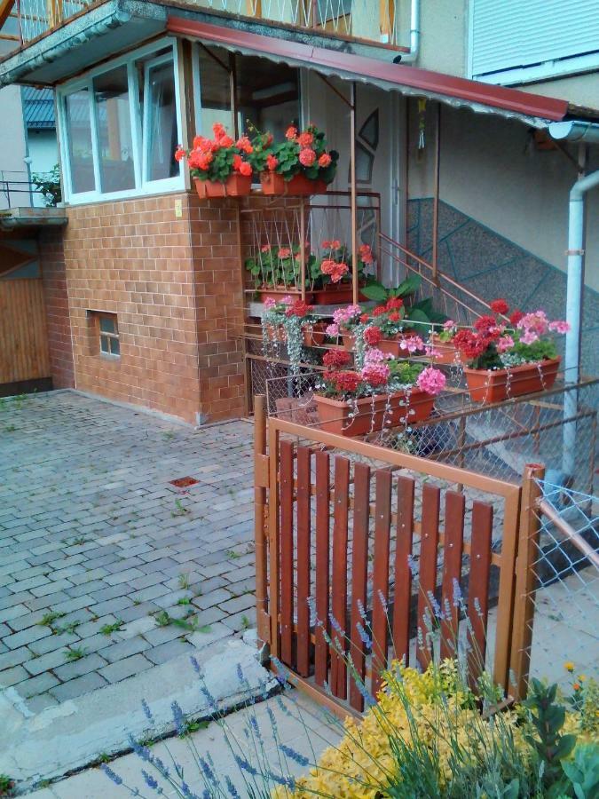 Apartment Janja Vojnik Kültér fotó